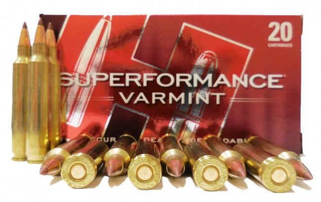 Hornady 204 RUGER 24 GR NTX 20 RDS (83209)        .