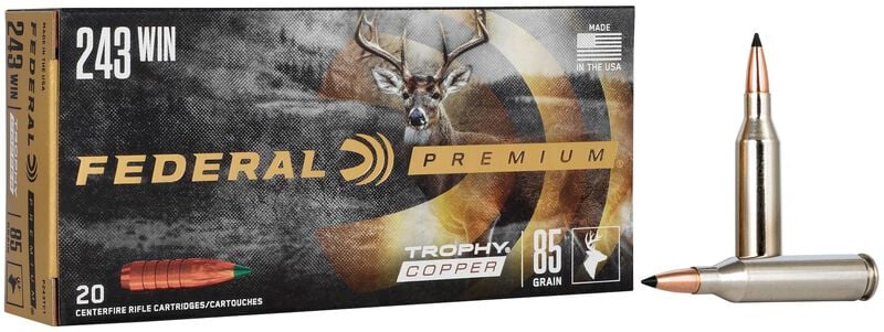 Federal 243 Win 85gr Copper (P243TC1)