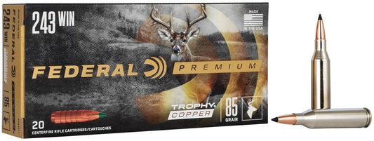 Federal 243 Win 85gr Copper (P243TC1)