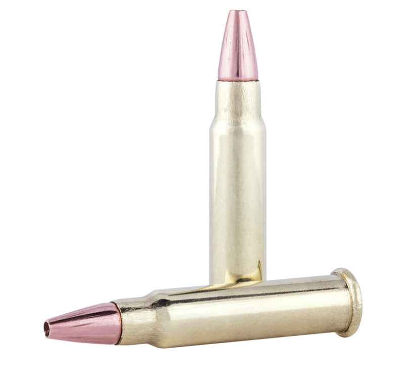 Federal 17 HMR 17 GR Speer TNT 50 Rounds (P770)
